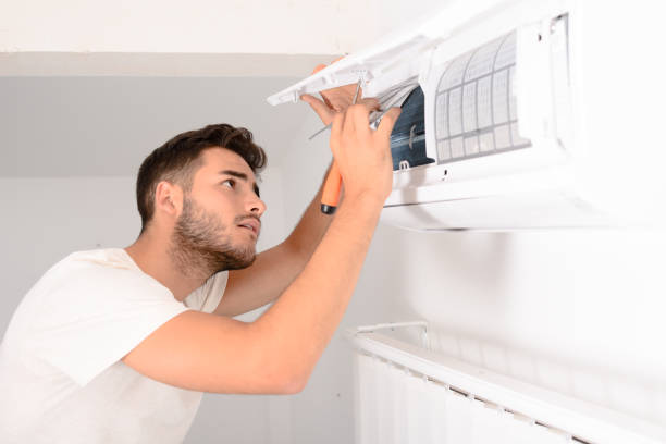 Best Air Duct Mold Removal  in Dilworth, MN